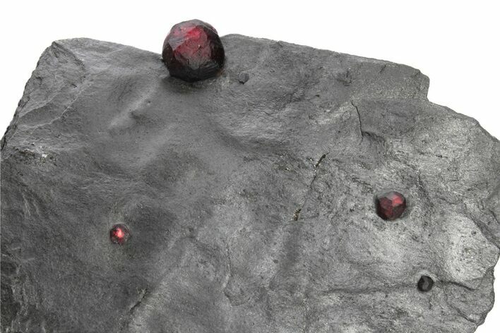 Plate of Four Red Embers Garnets in Graphite - Massachusetts #225922